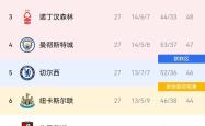 开云体育APP下载-利物浦主场击败斯旺西，保持联赛榜首位置