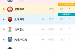 开云体育-国安击败重庆，豪取主场胜利的简单介绍